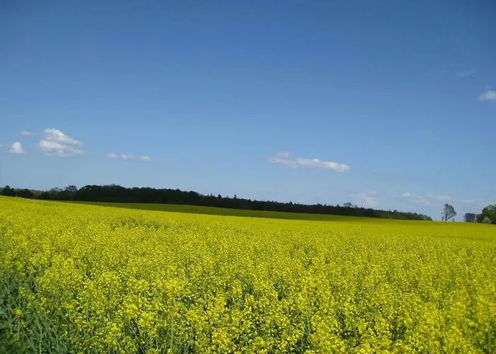Schenk Semesterbostad