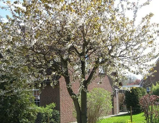 Schenk Semesterbostad *